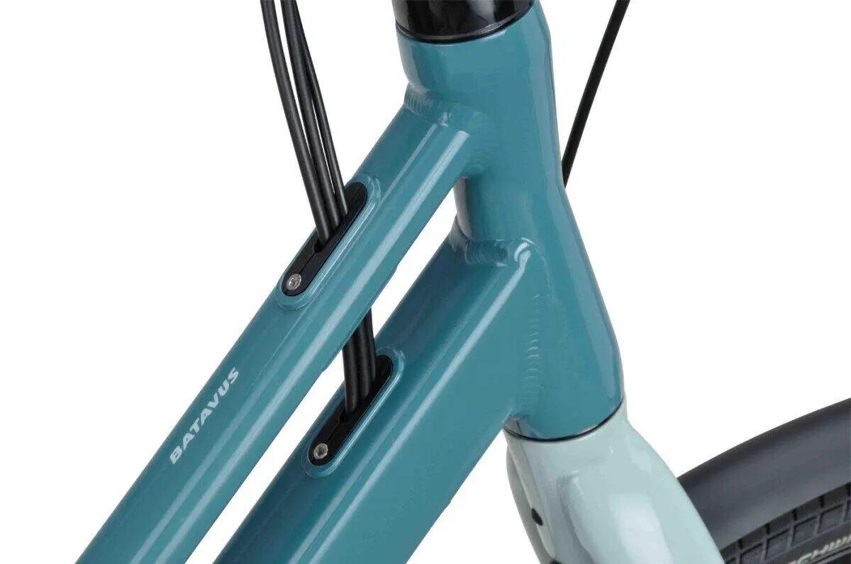 Batavus Fonk 7, Shimano Nexus, blauw 4/7