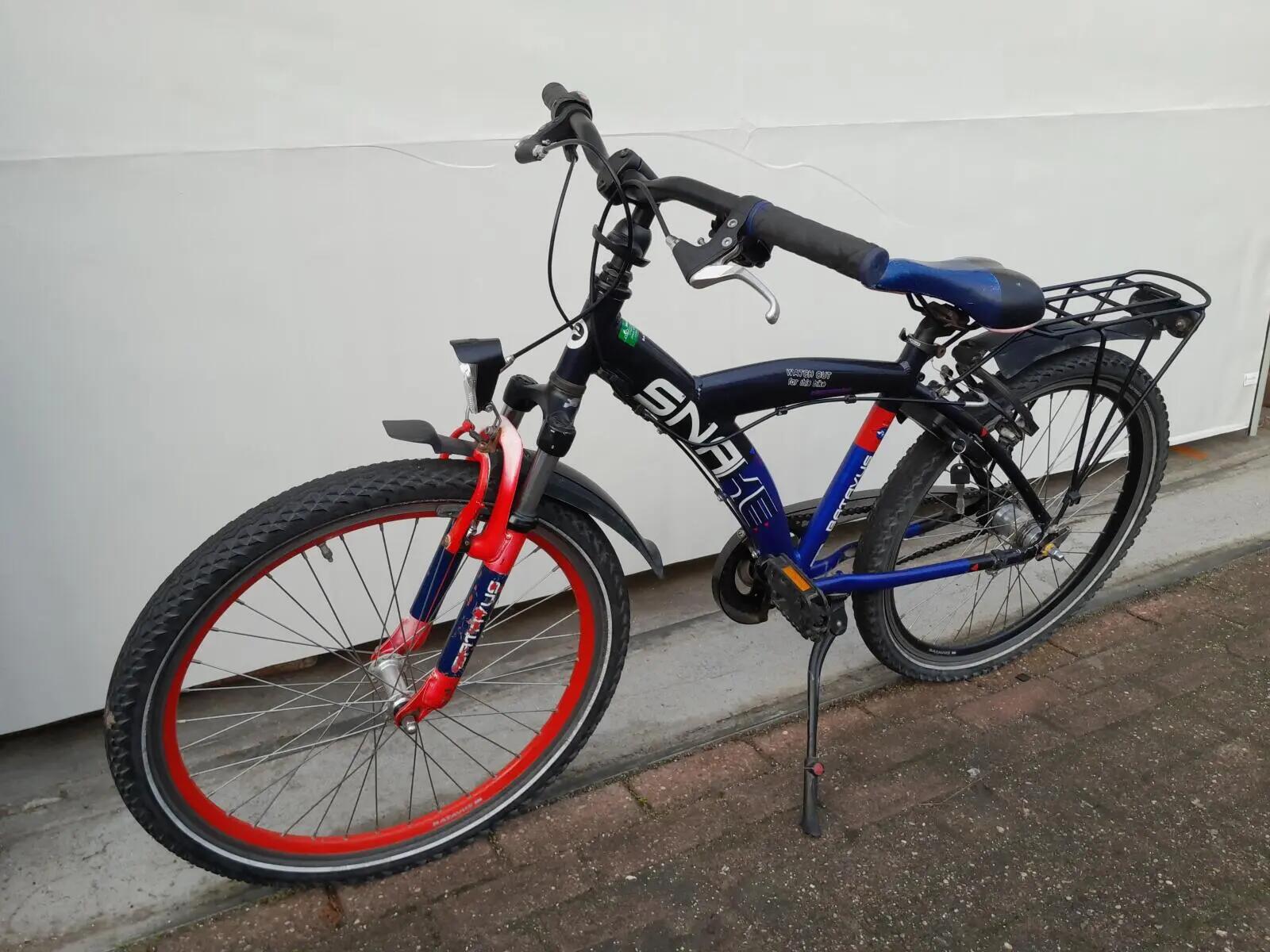 Second Life - Gereviseerd Batavus Snake 3/5