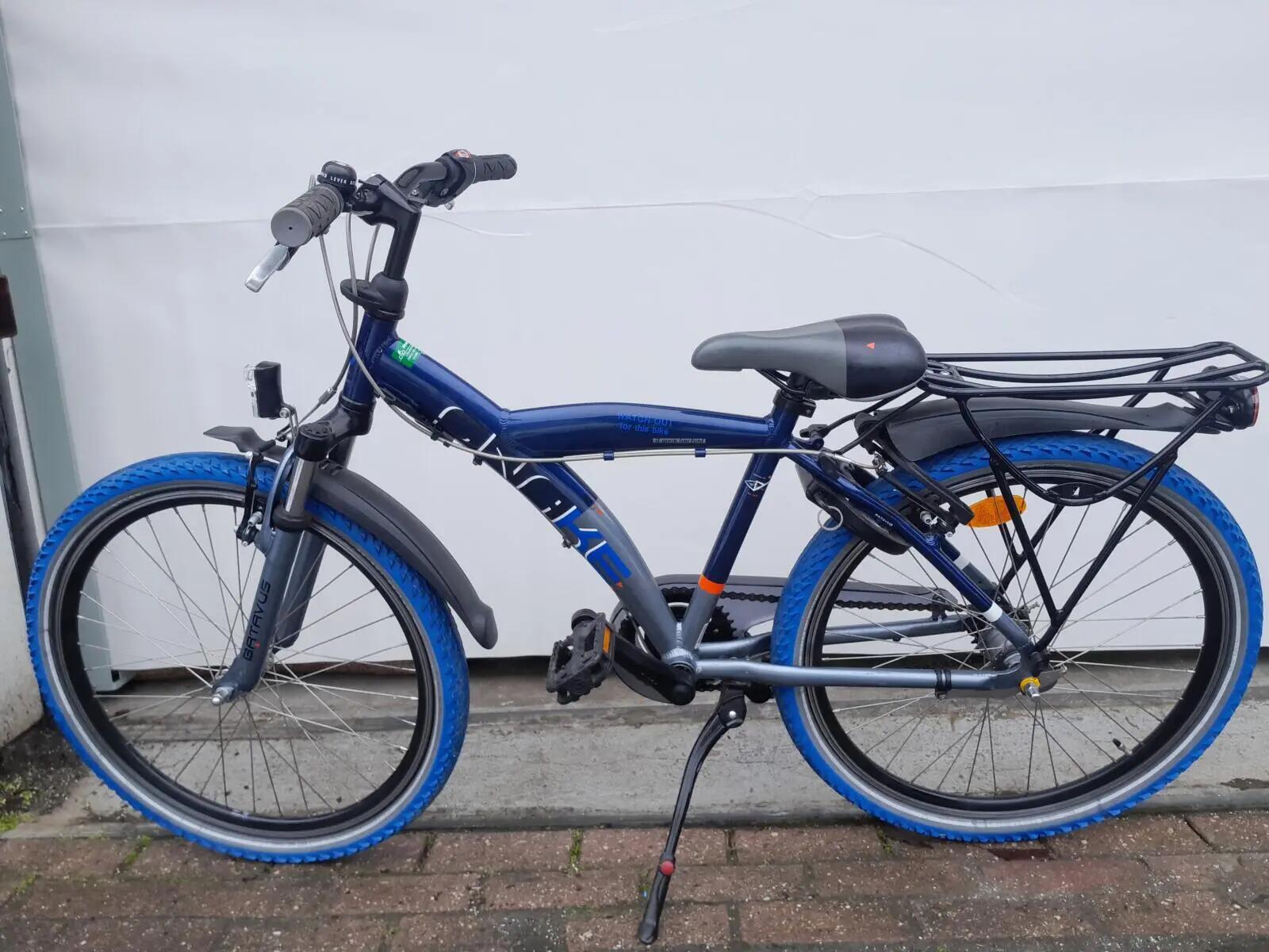 Second Life - Gereviseerd Batavus Snake 4/5