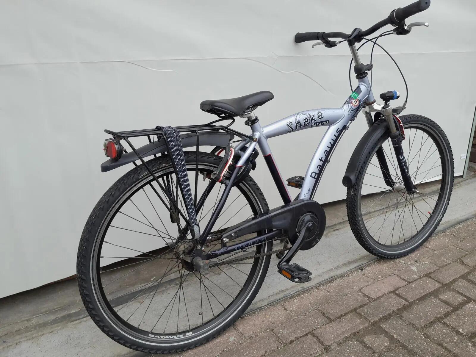 Second Life - Gereviseerd Batavus Snake, blauw 3/5