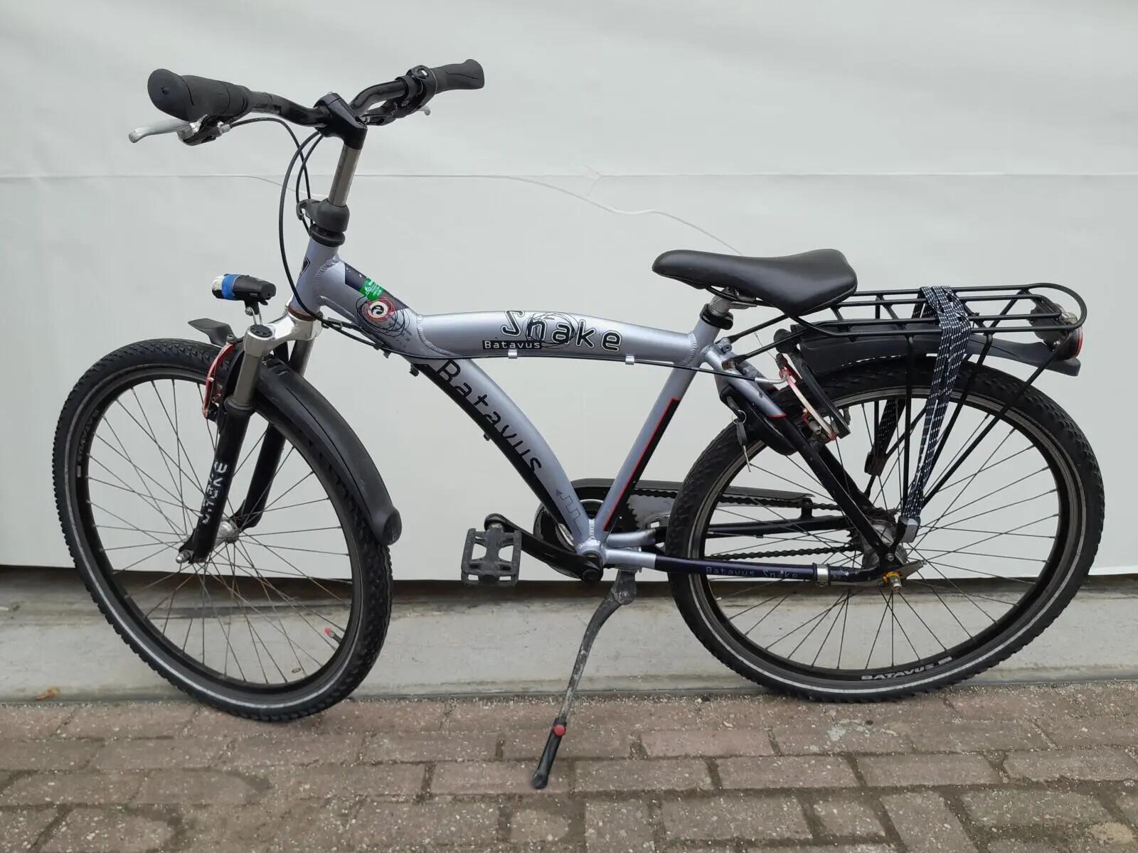 Second Life - Gereviseerd Batavus Snake, blauw 2/5