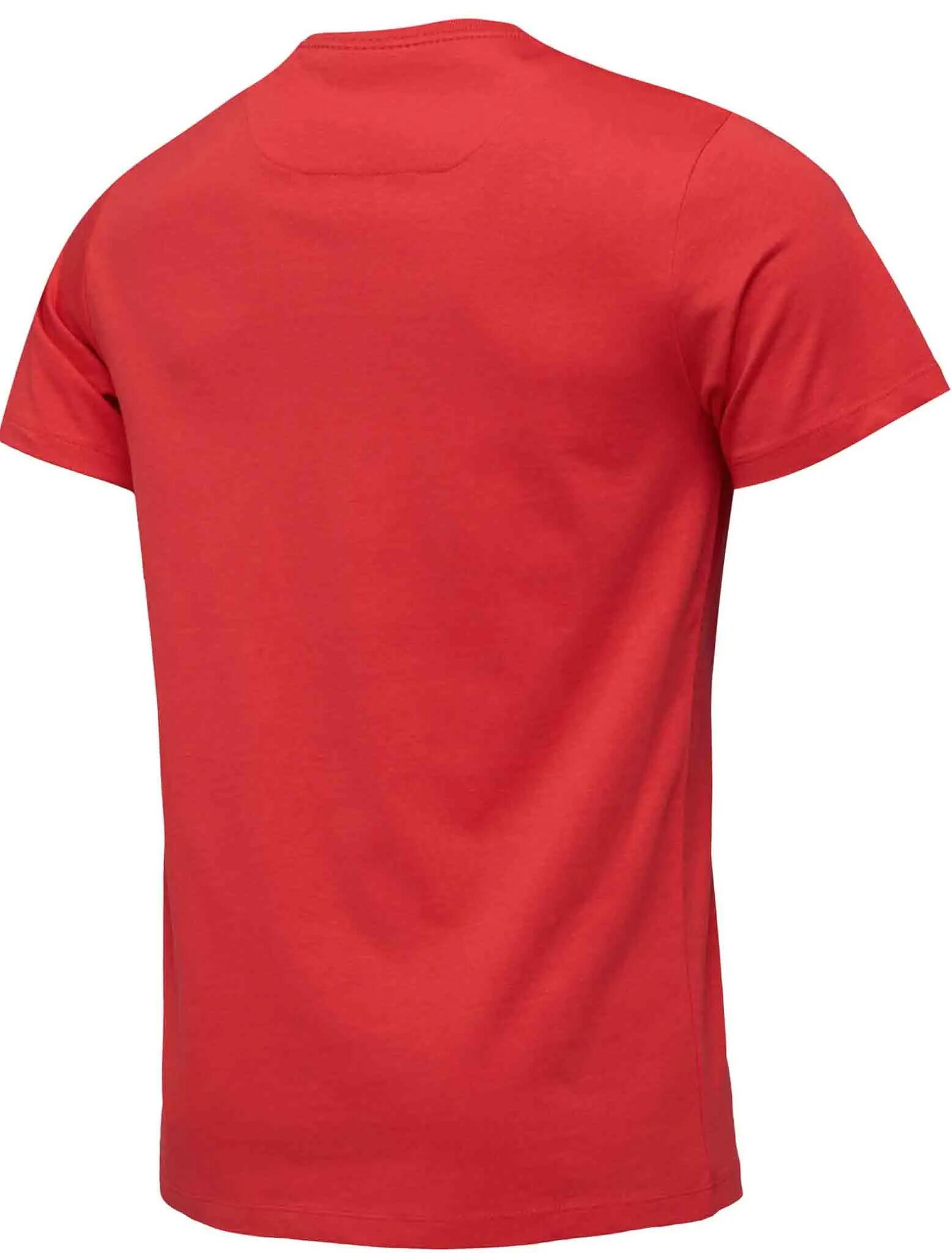 Pánské tričko LOAP Botax 2/5