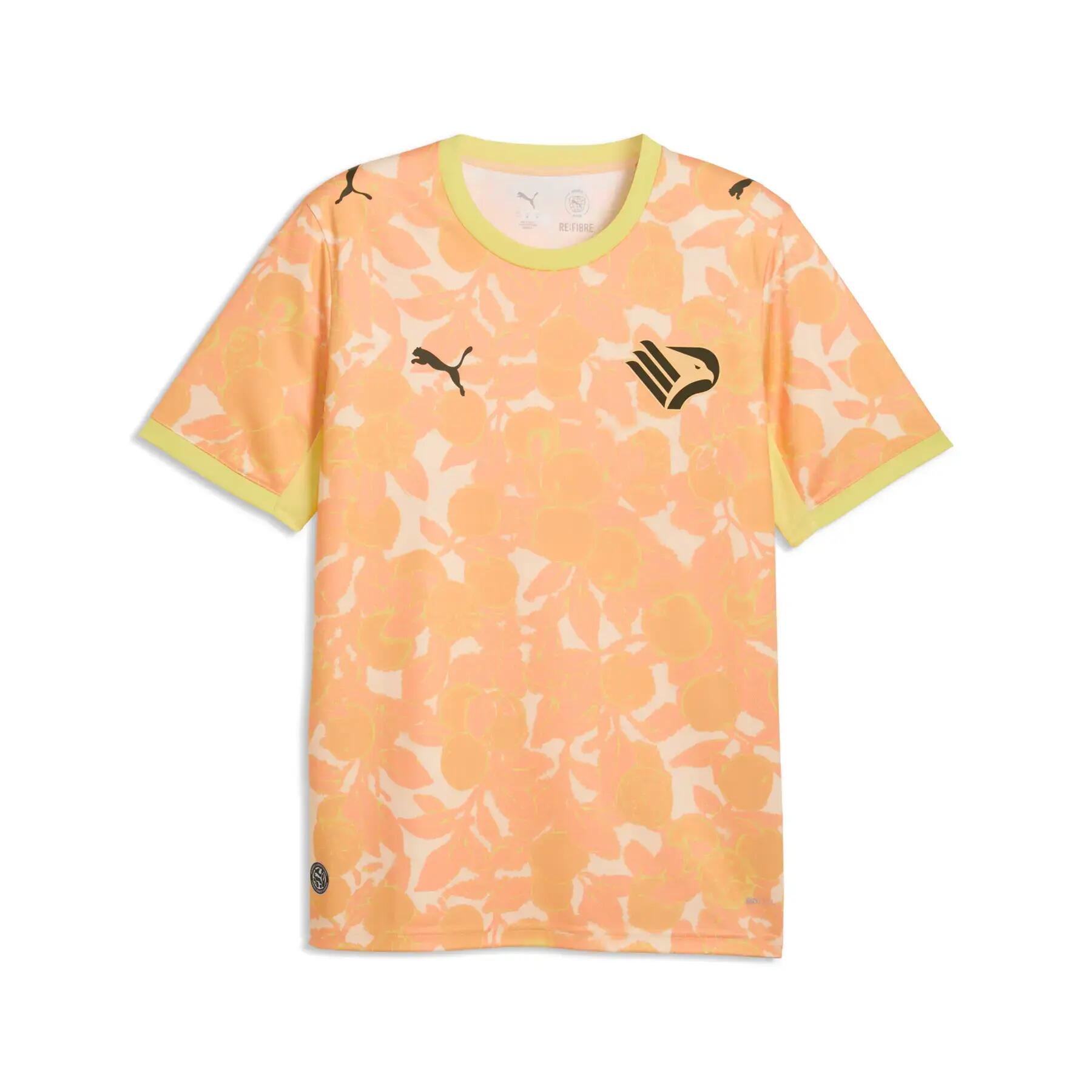 PUMA picture