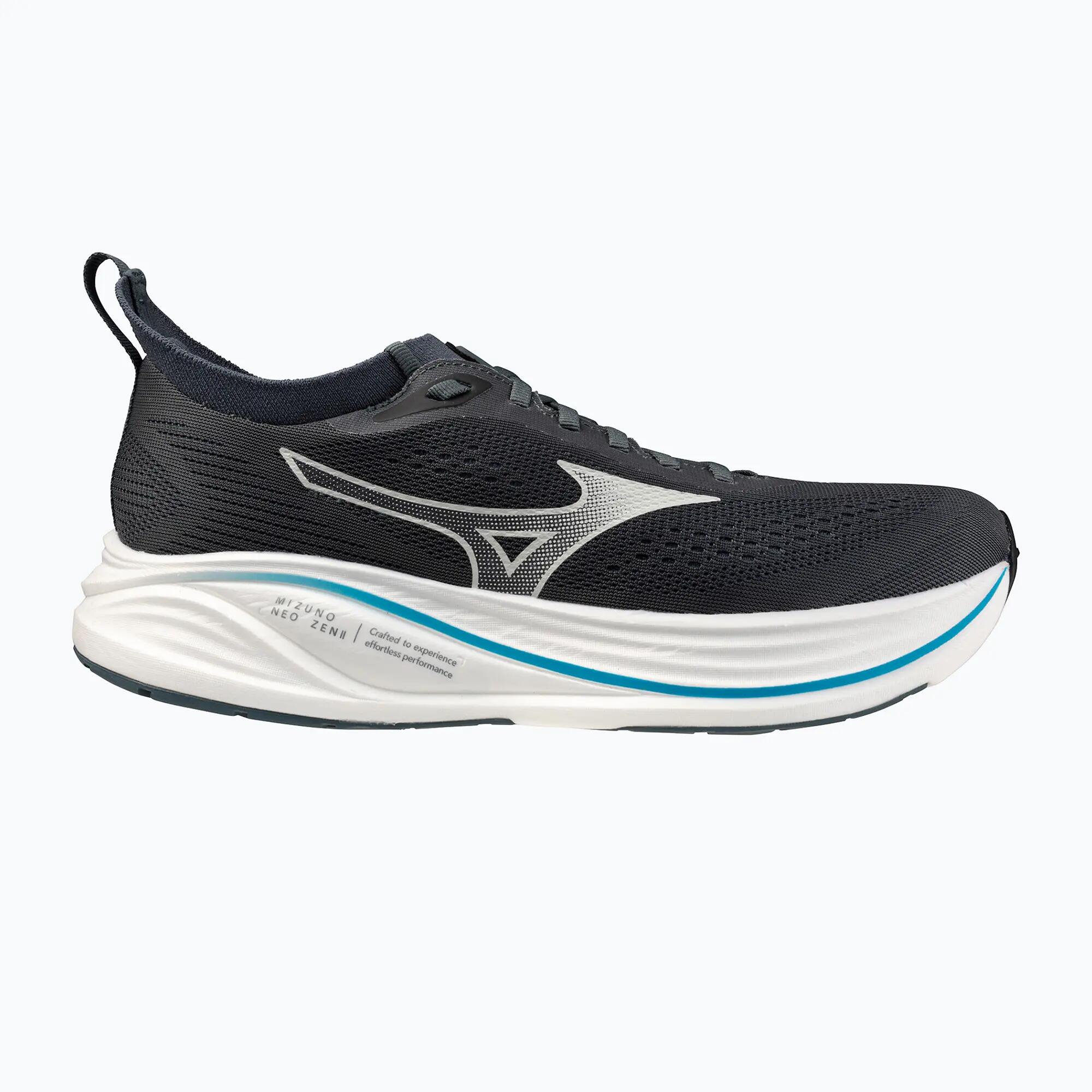 MIZUNO picture