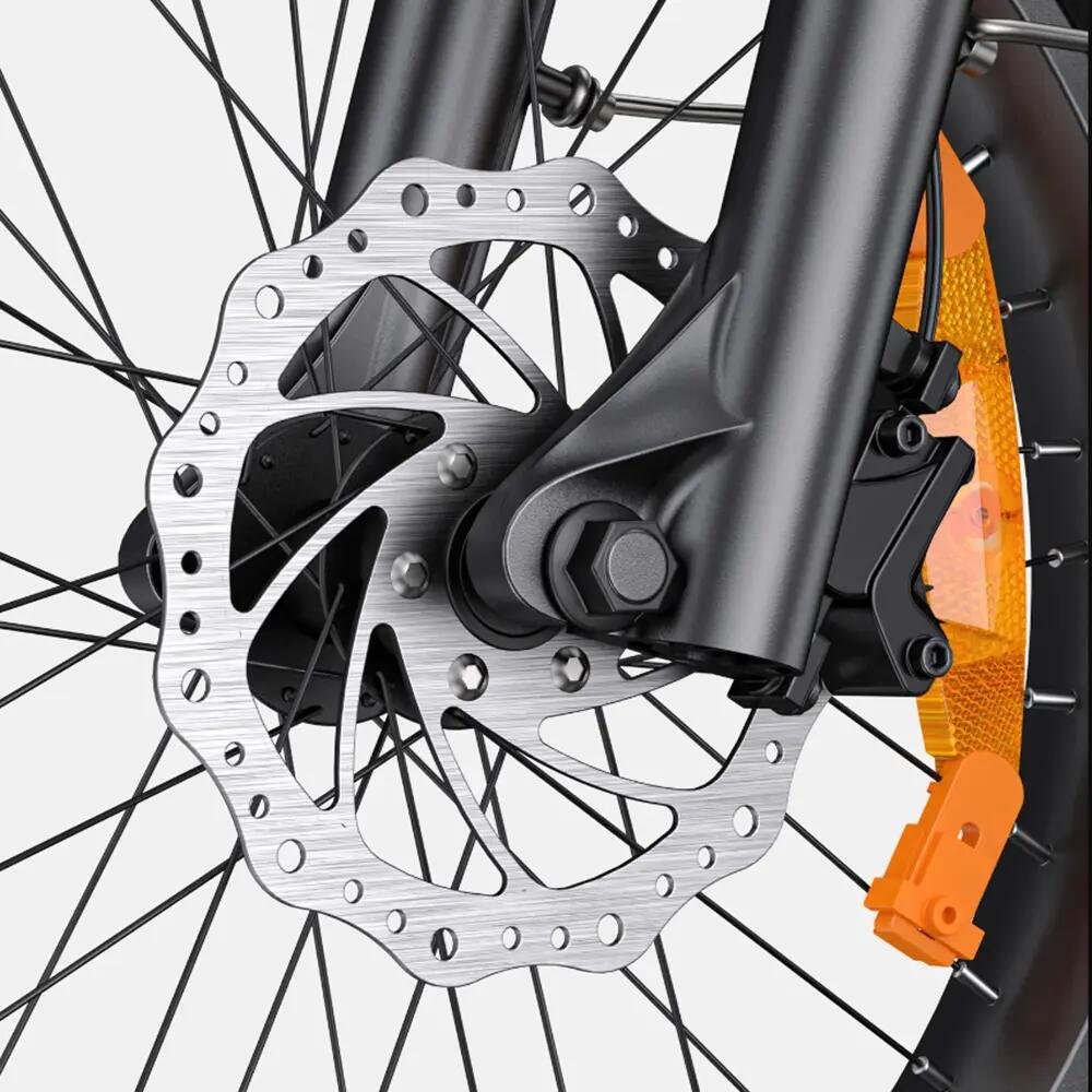 Bicicleta eléctrica ENGWE L20 3.0 Pro 250 W, motor central, batería 48 V 15 Ah 8/10
