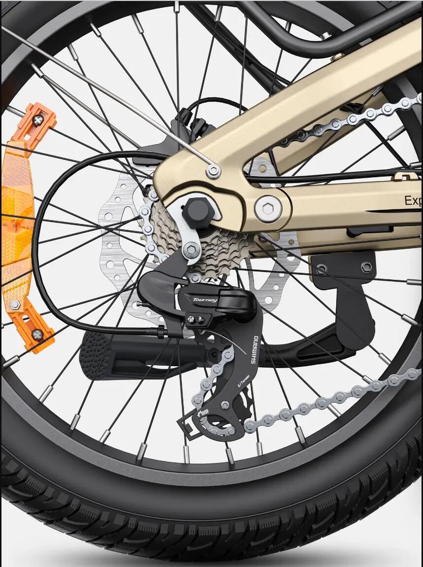 Bicicleta eléctrica ENGWE L20 3.0 Pro 250 W, motor central, batería 48 V 15 Ah 6/10