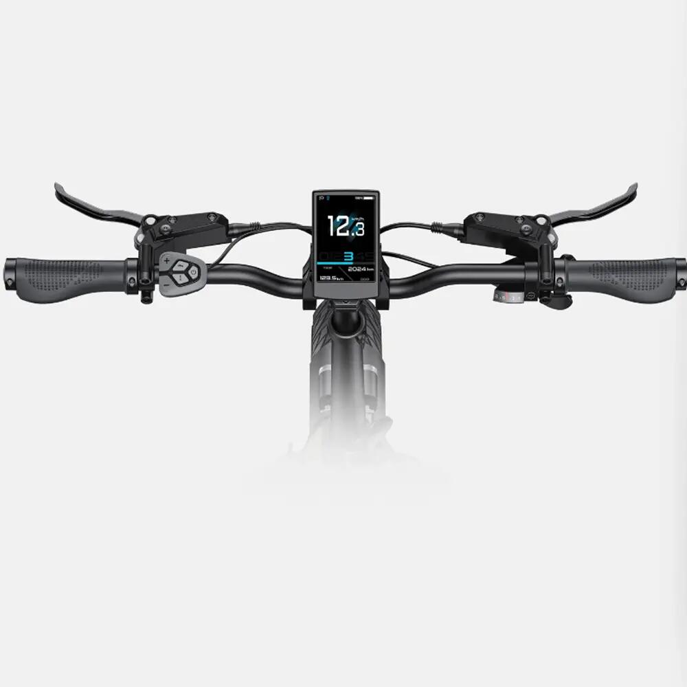 Bicicleta eléctrica ENGWE L20 3.0 Pro 250 W, motor central, batería 48 V 15 Ah 5/10