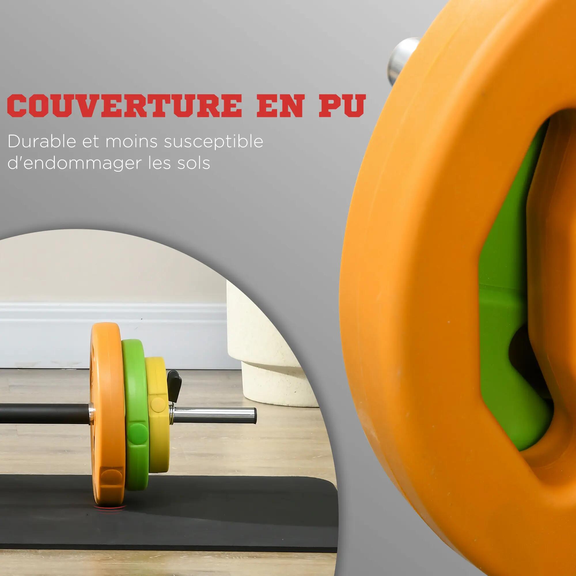 Ensemble haltères et barre 20 kg avec 6 haltères disques de 1,5 kg, 2,5 kg et 5 7/9
