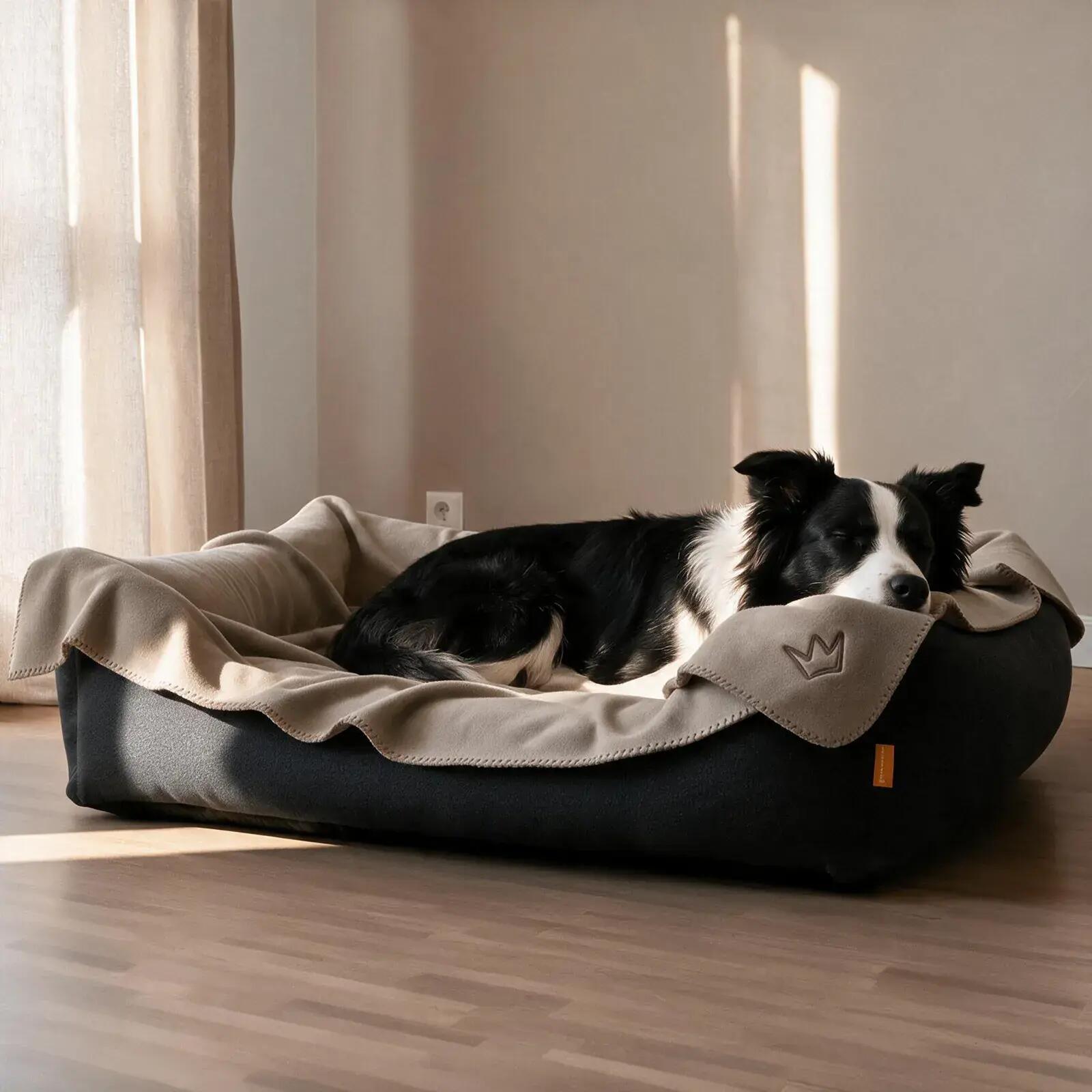 Couverture pour Chien Snori – Polaire 300 g/m², Douce, Chaude & Lavable 4/7