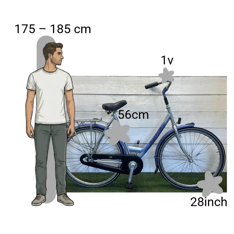 Bicicletta usata Gazelle Laguna 2/4