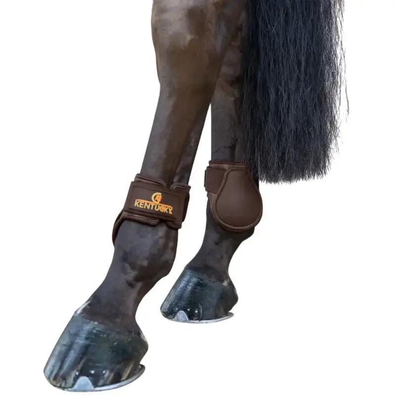 Streichkappen für Ponys Kentucky Horsewear Classic 4/5