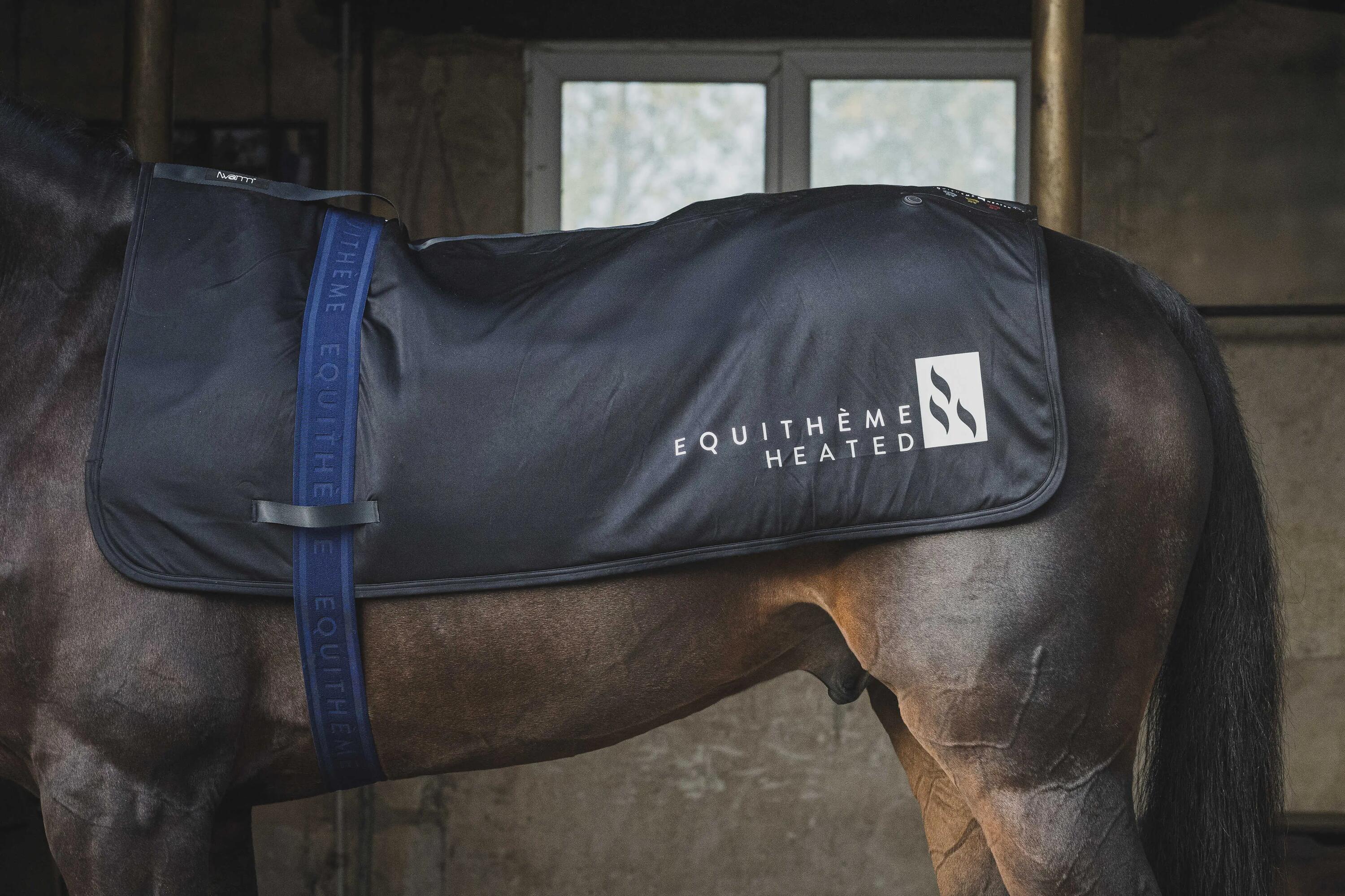 Sursangles Jacquard - Equitheme 4/4