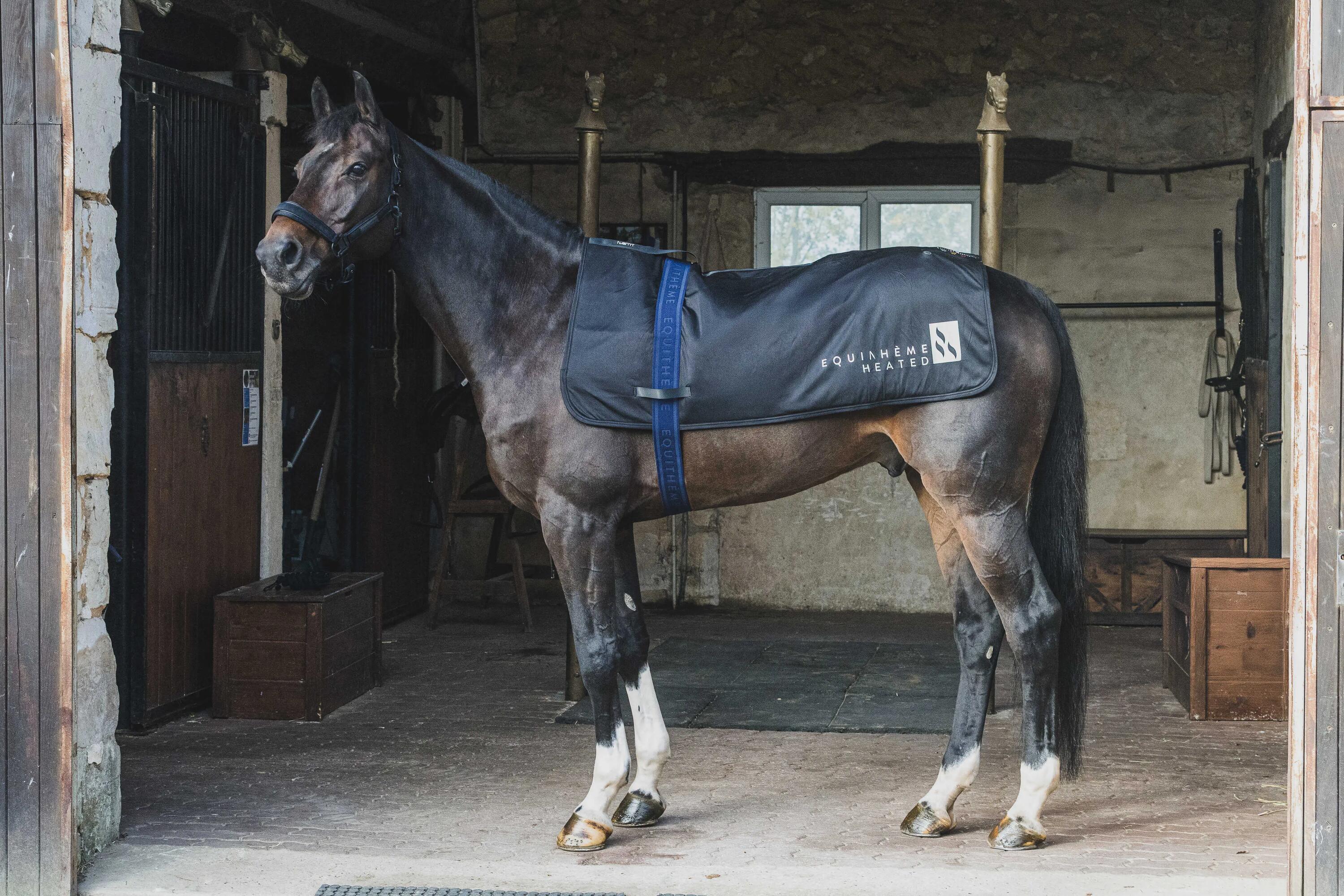 Sursangles Jacquard - Equitheme 3/4