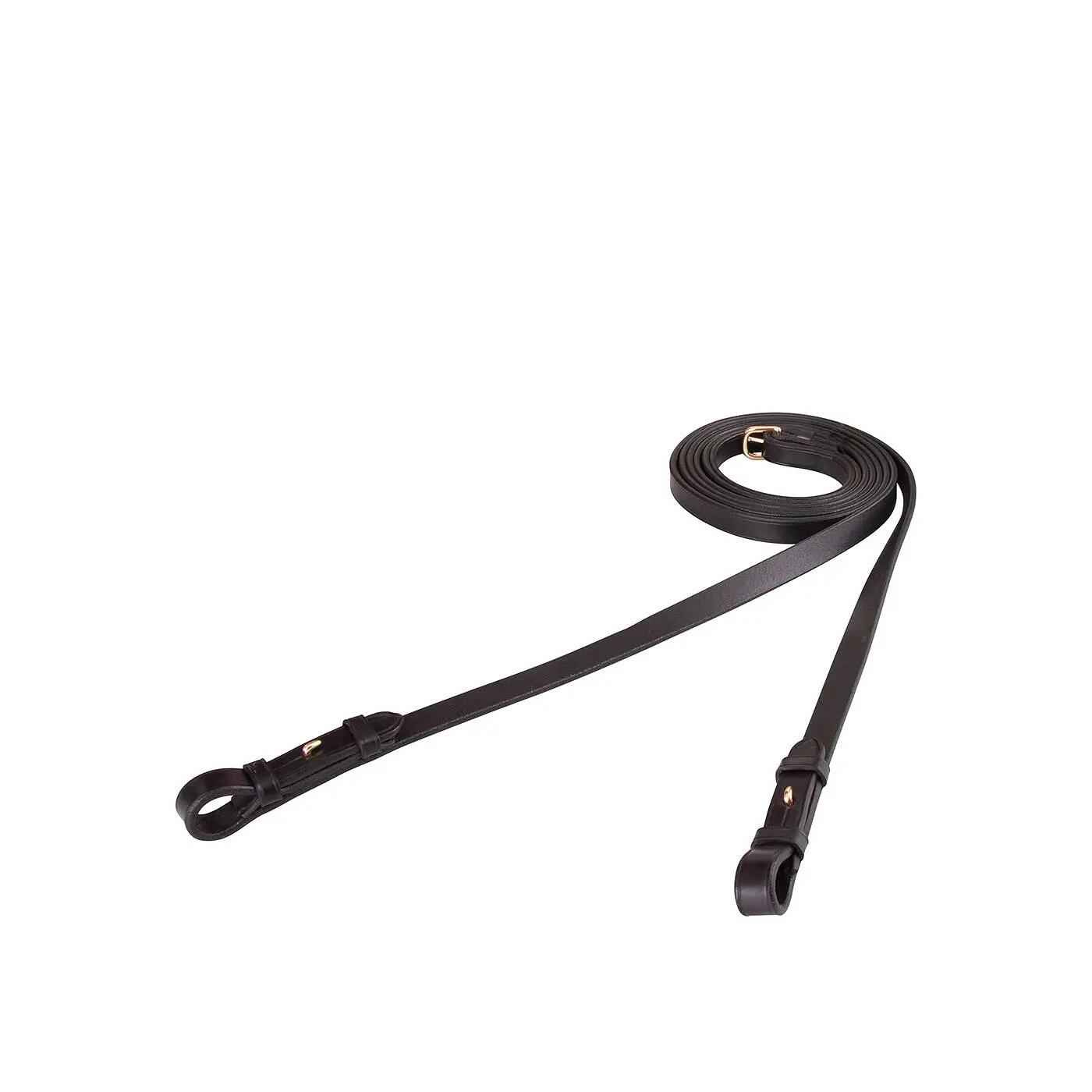BR rênes en cuir 3/5