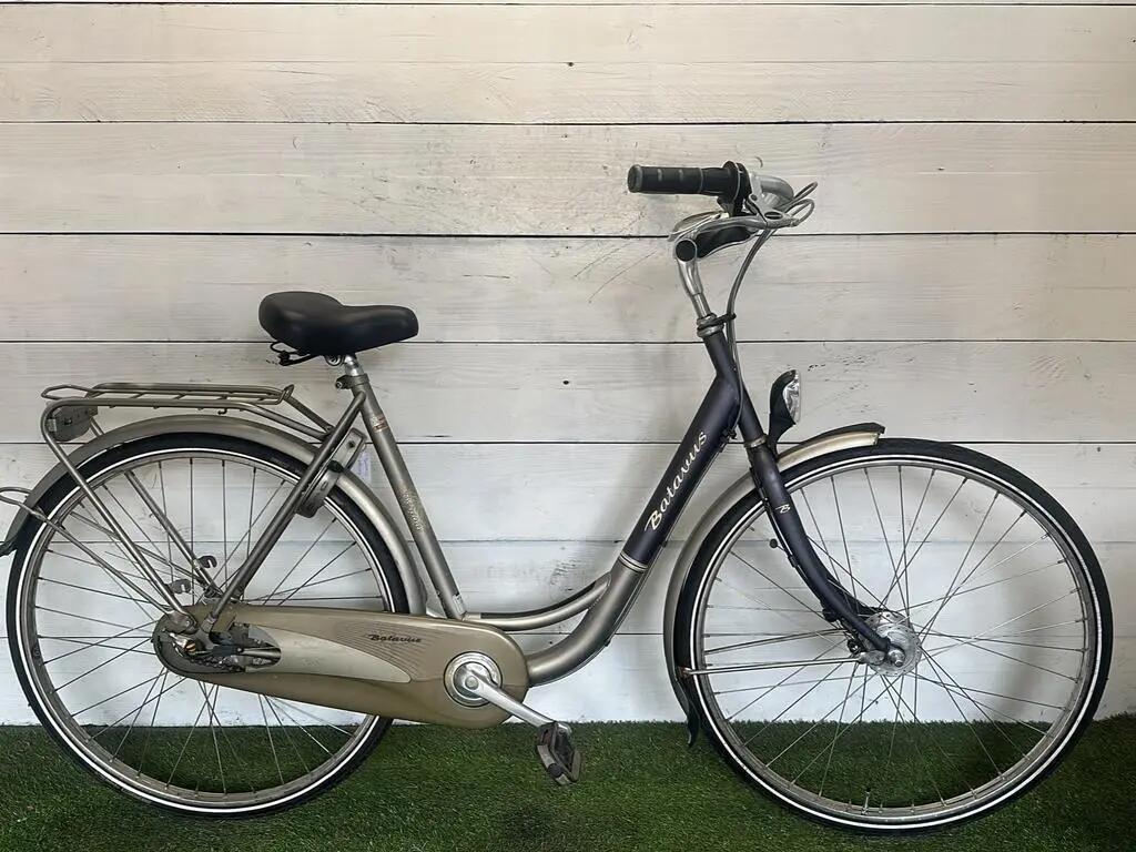 BATAVUS picture