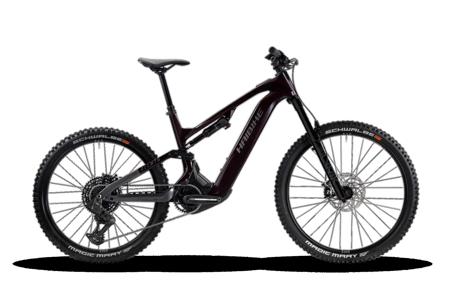HAIBIKE picture