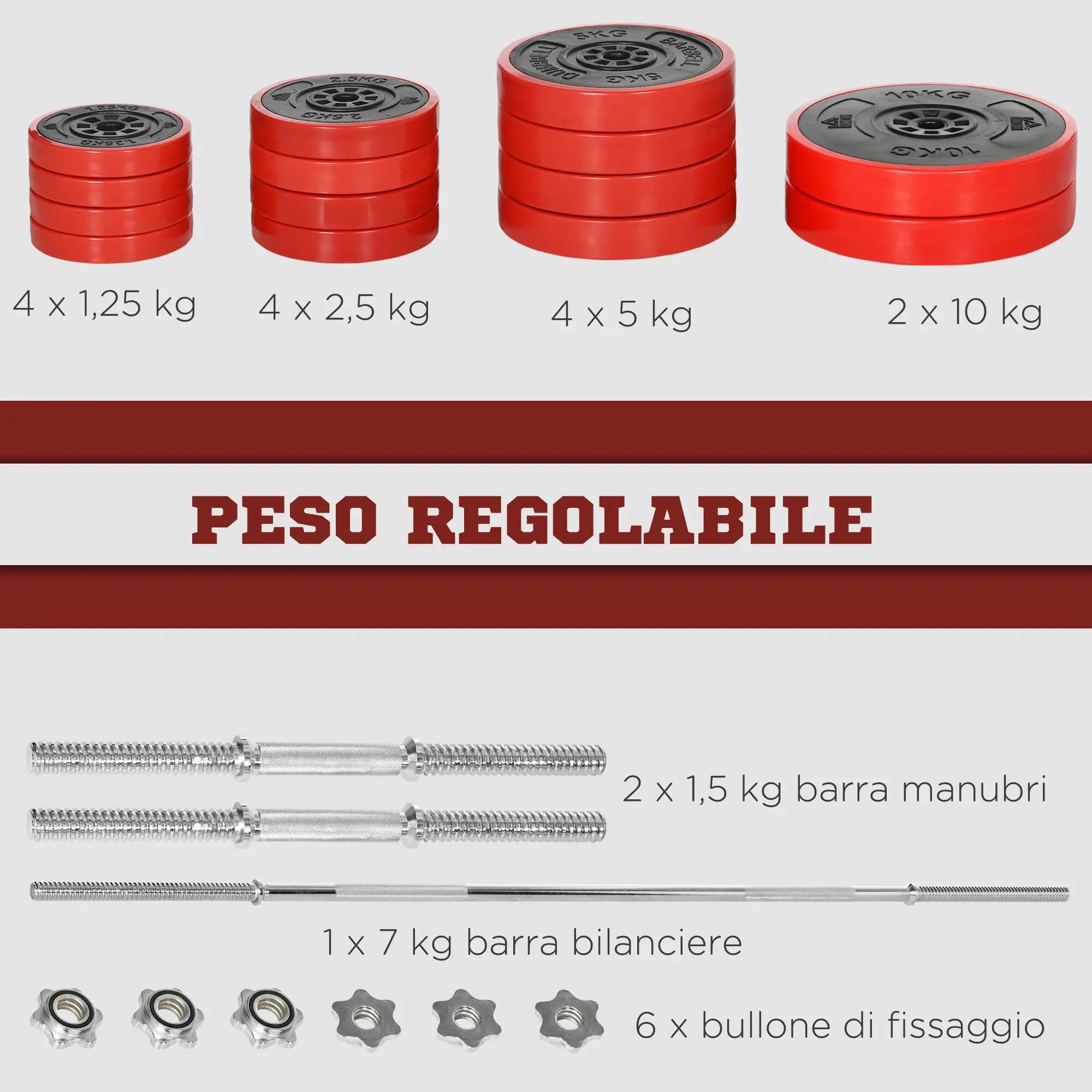 Ensemble haltères et disques, 65 kg au total, pour entraînement à domicile, en m 7/9