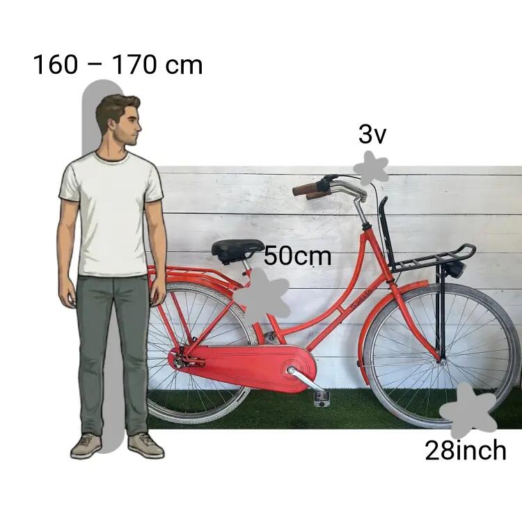 Tweedehands Sparta Transportfiets 2/4