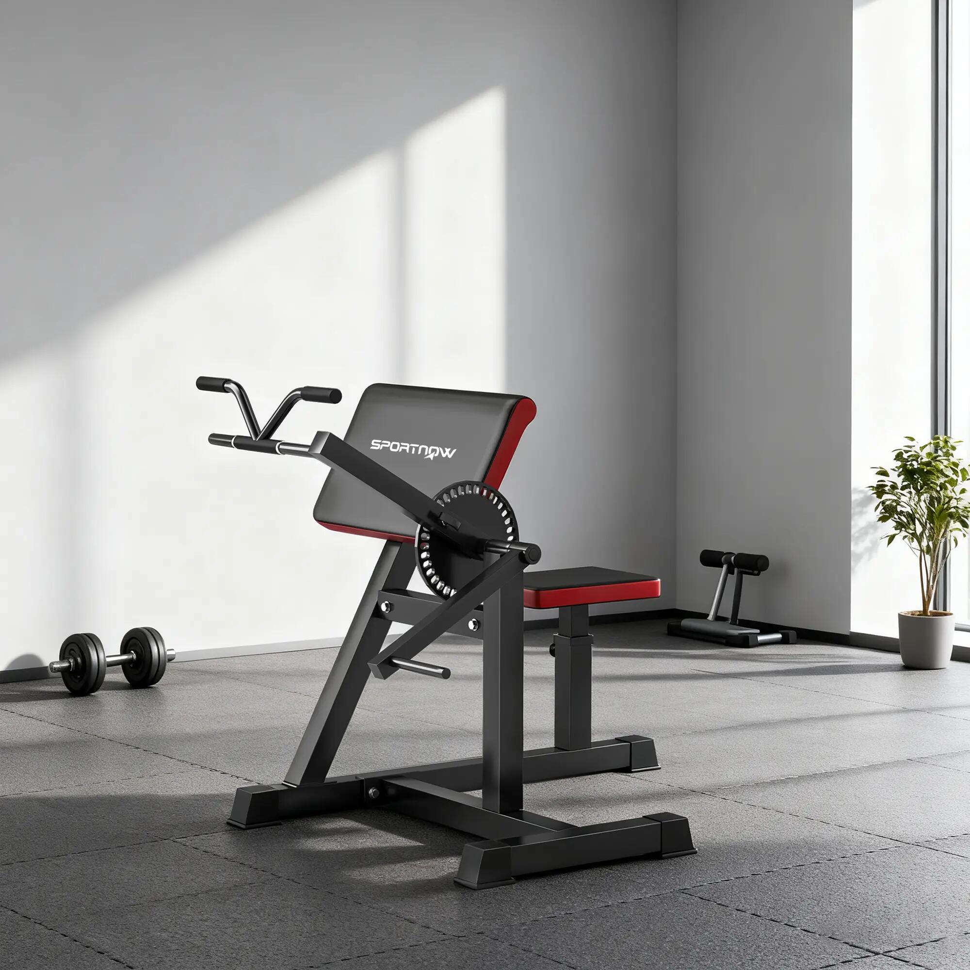 Appareil 2 en 1 pour biceps et triceps, banc de musculation avec siège réglable 4/9