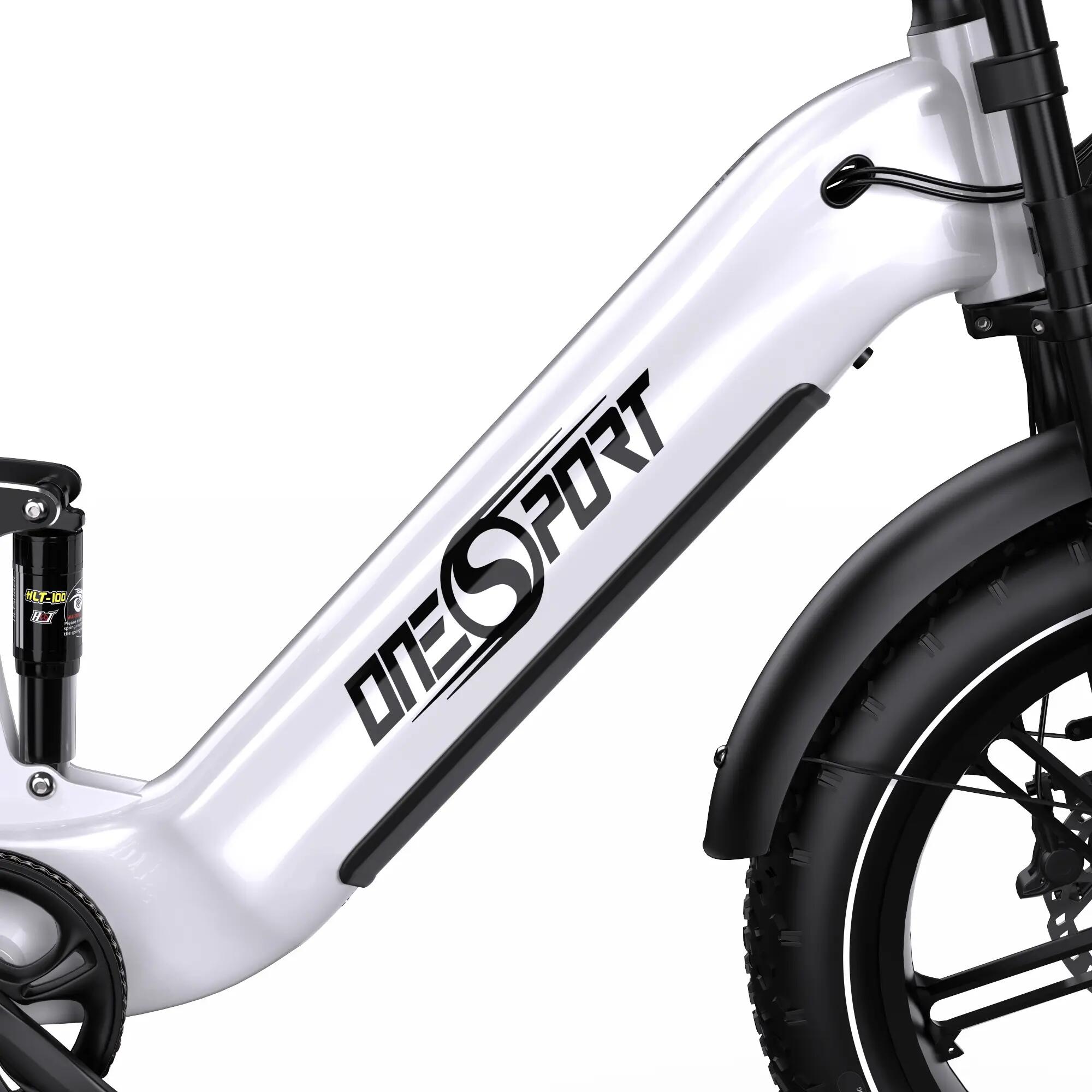 OT08 Pro Erwachsenen-E-Bike, 48V 18Ah Doppelakkus 8/8