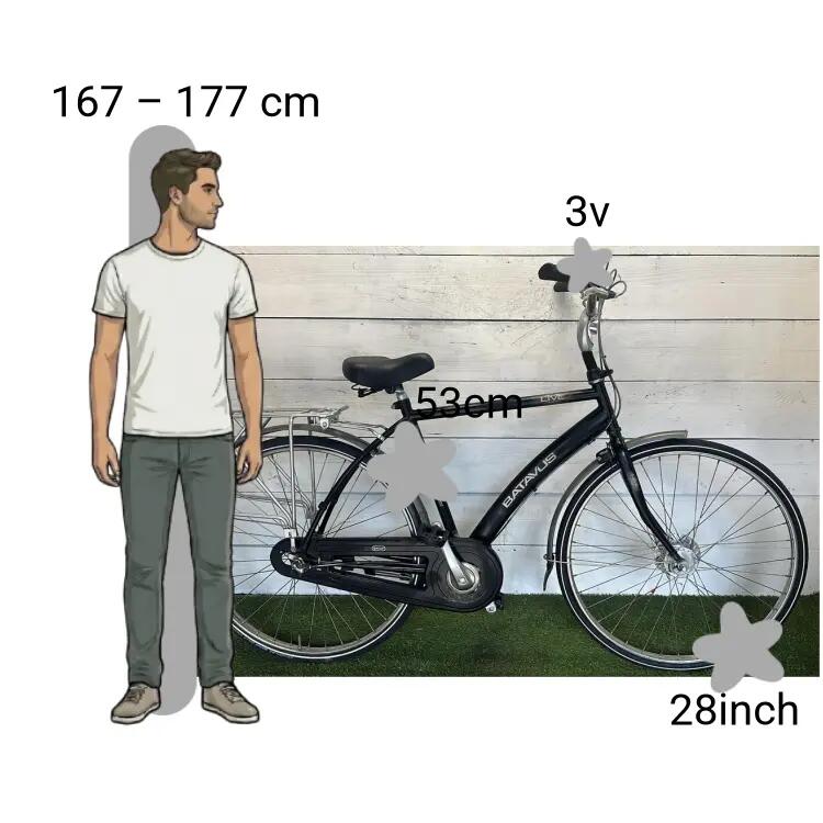 Gebraucht Batavus Live 2/4