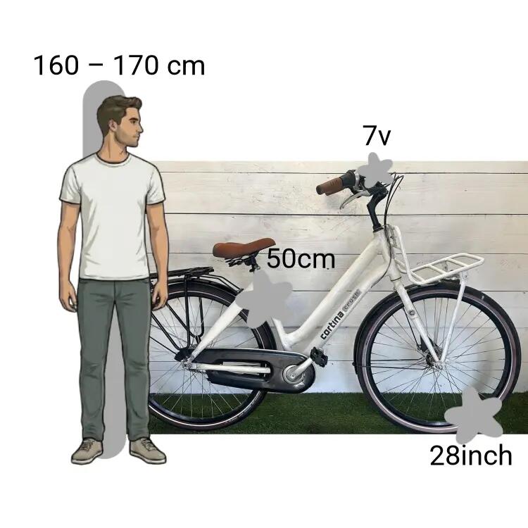 Bicicletta usata Cortina Crush 2/4