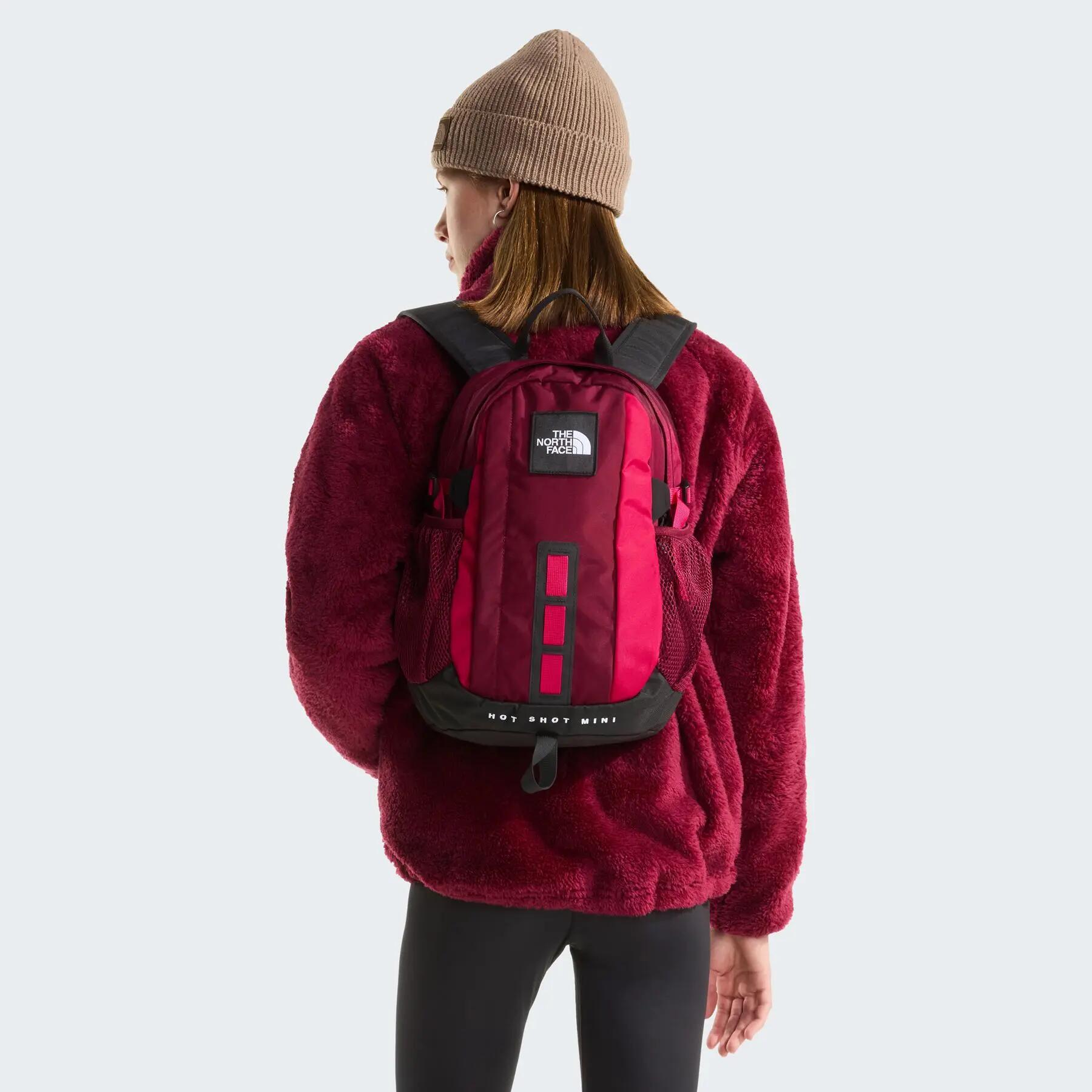 Mochila esportiva masculina The North Face Urban HOT 8/8