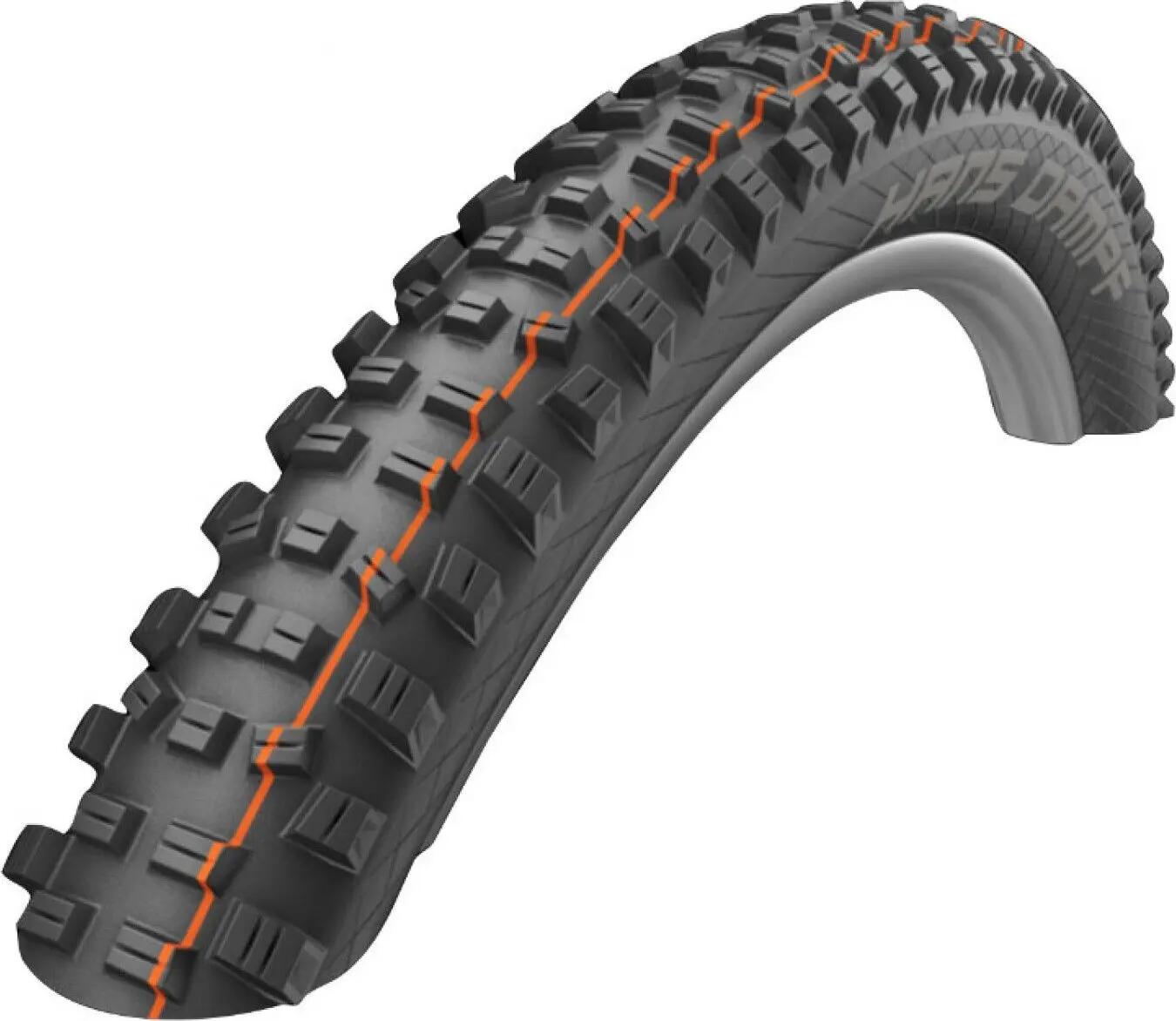 SCHWALBE picture