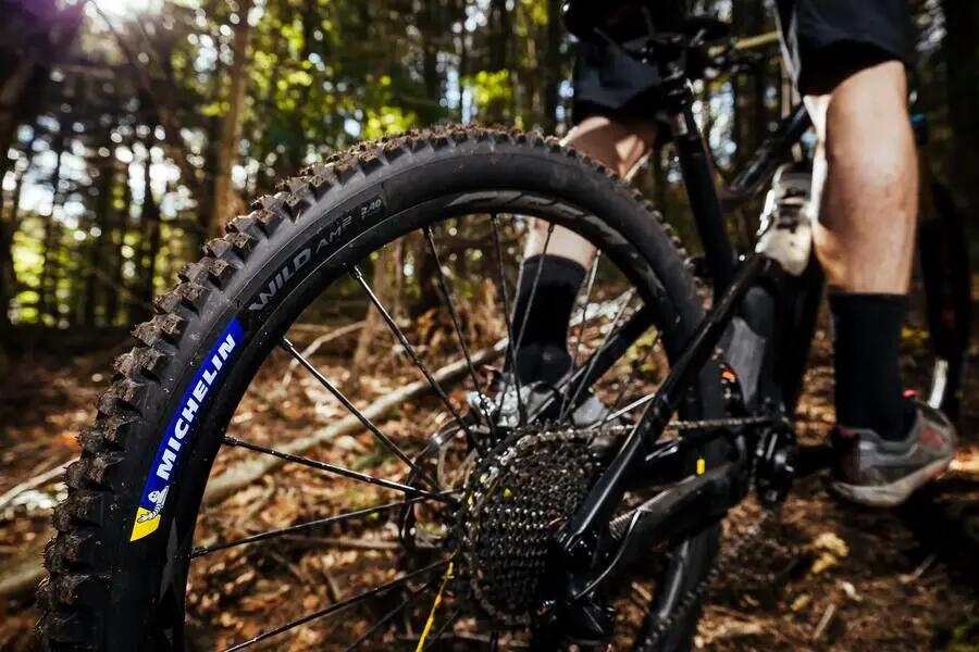 Michelin Wild AM2 Competition Line 29'' Tubeless Ready Soft Gravity Shield GUM-X 5/5