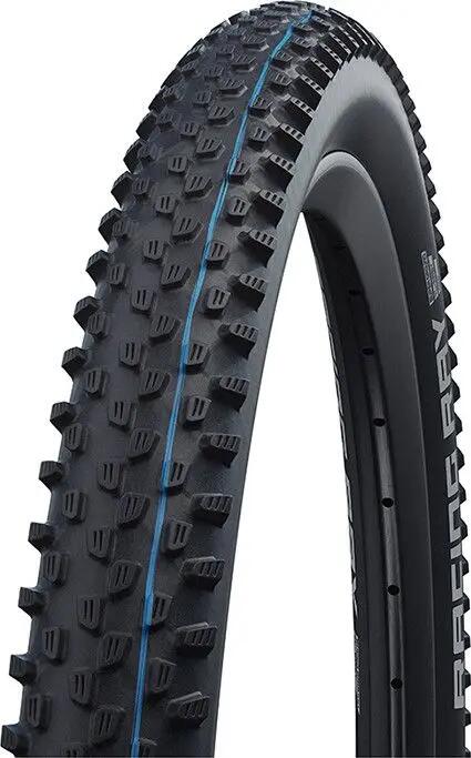 SCHWALBE picture