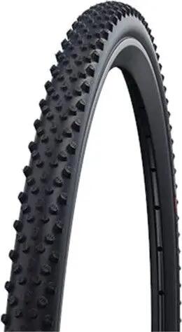 SCHWALBE picture