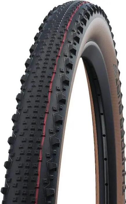 SCHWALBE picture