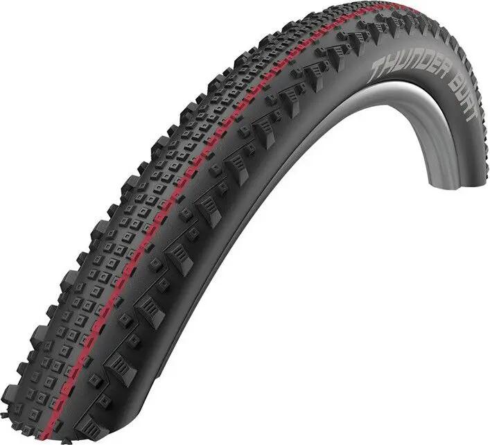 SCHWALBE picture