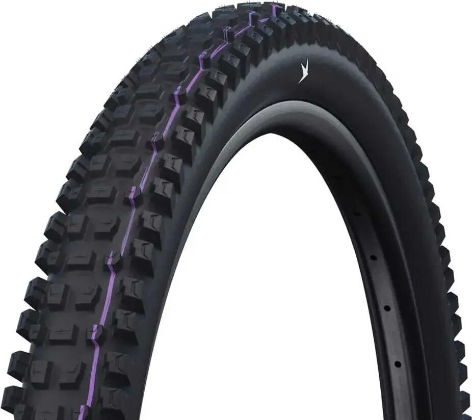 SCHWALBE picture