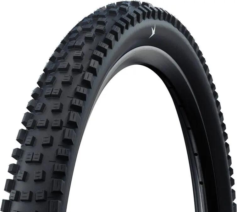 SCHWALBE picture