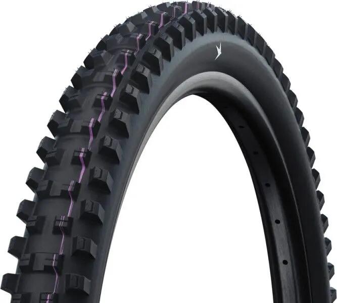 SCHWALBE picture