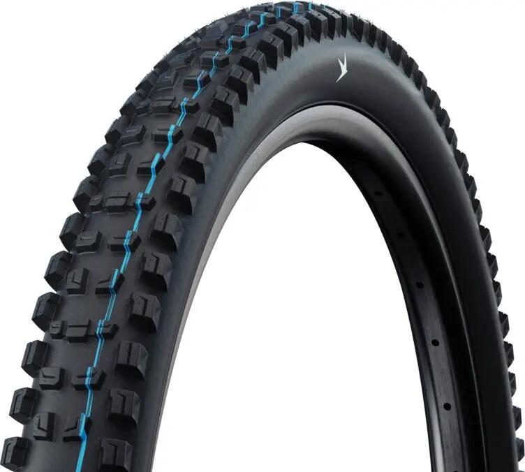 SCHWALBE picture