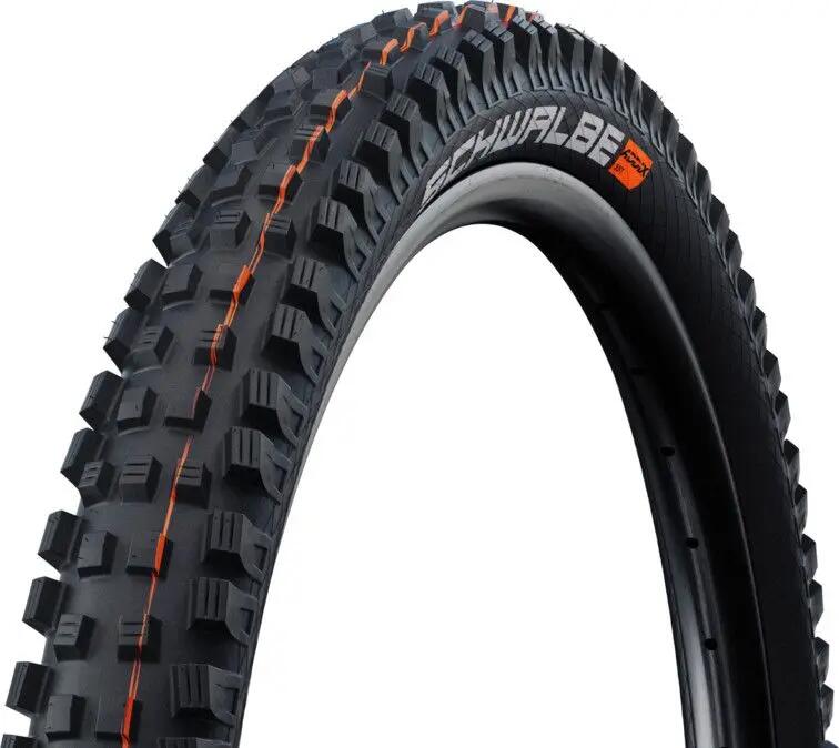 SCHWALBE picture