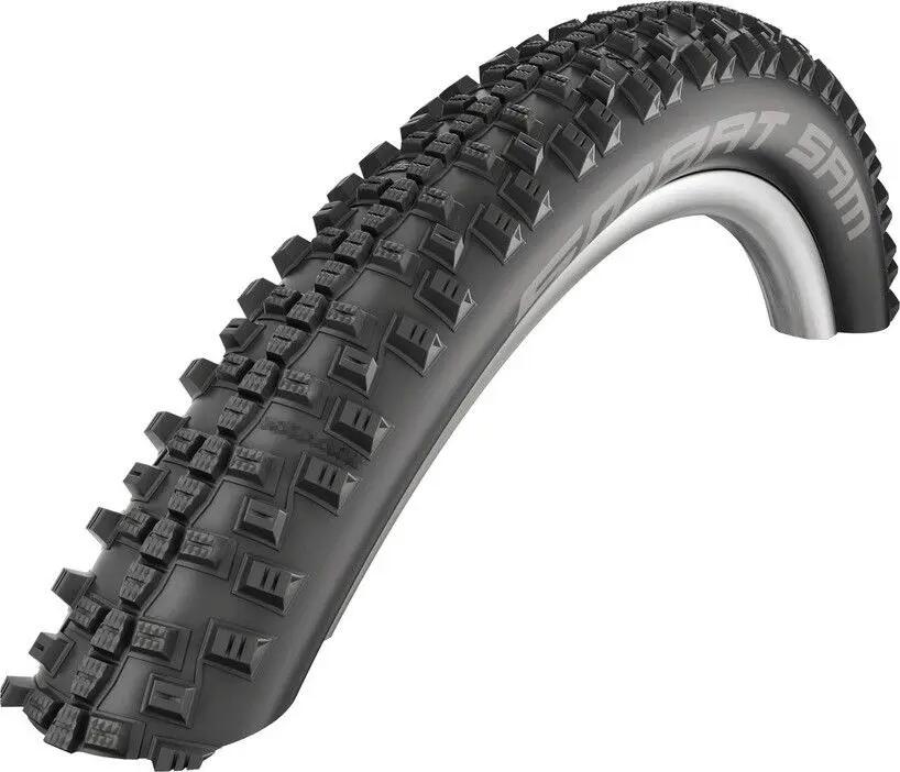 SCHWALBE picture