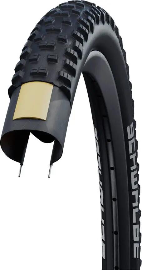 SCHWALBE picture