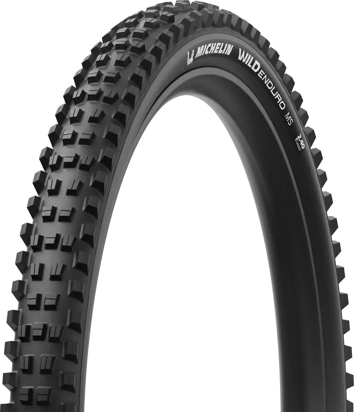 MICHELIN picture