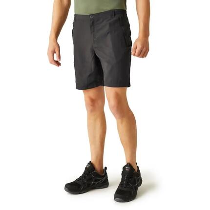 REGATTA Regatta Shorts Leesville Shrt II Hommes ASH