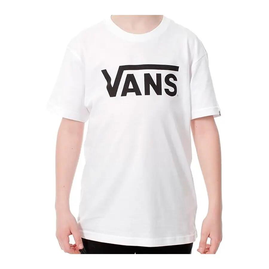 VANS picture