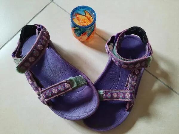 TEVA picture