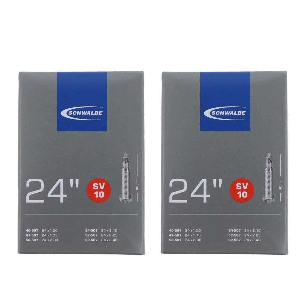 SCHWALBE picture