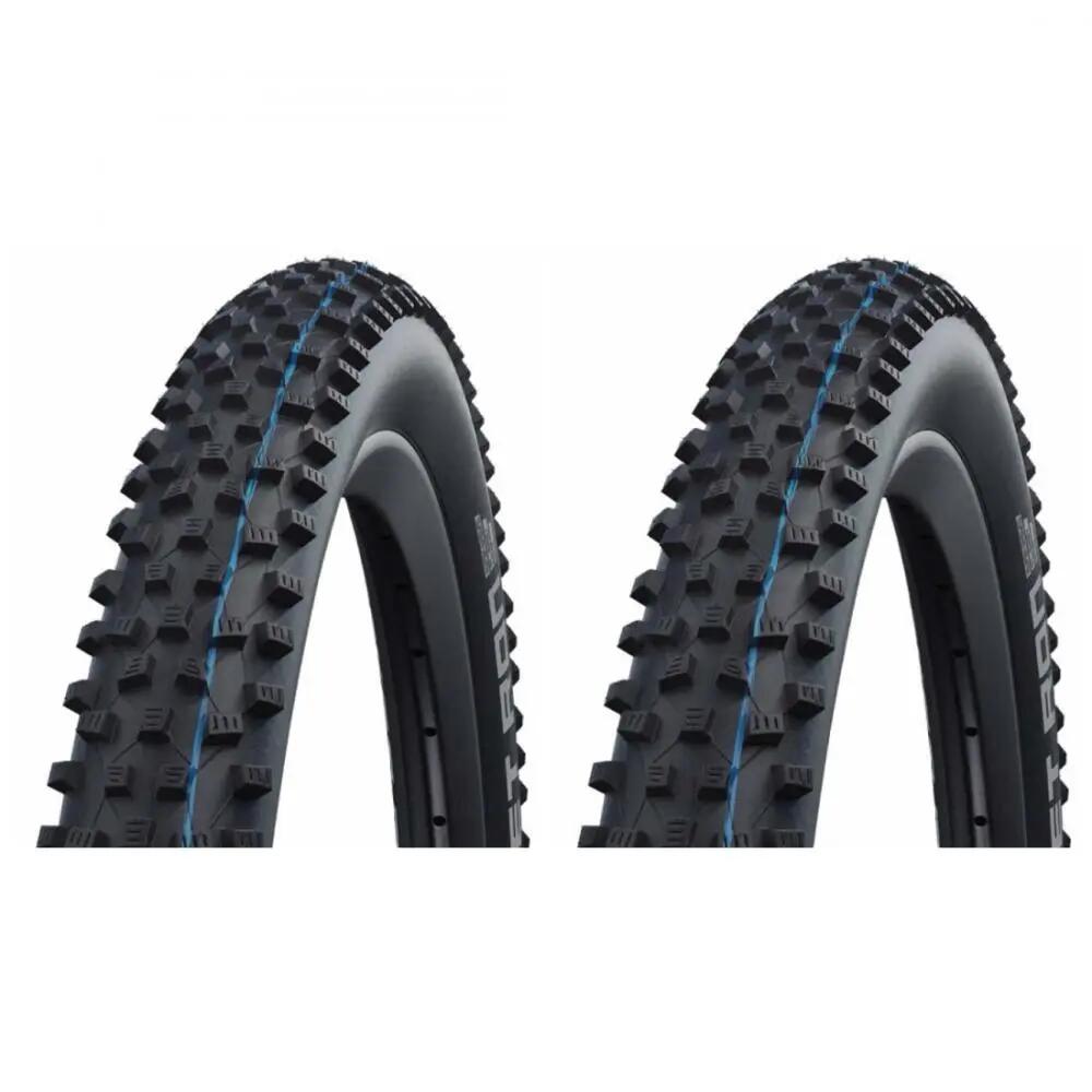 SCHWALBE picture