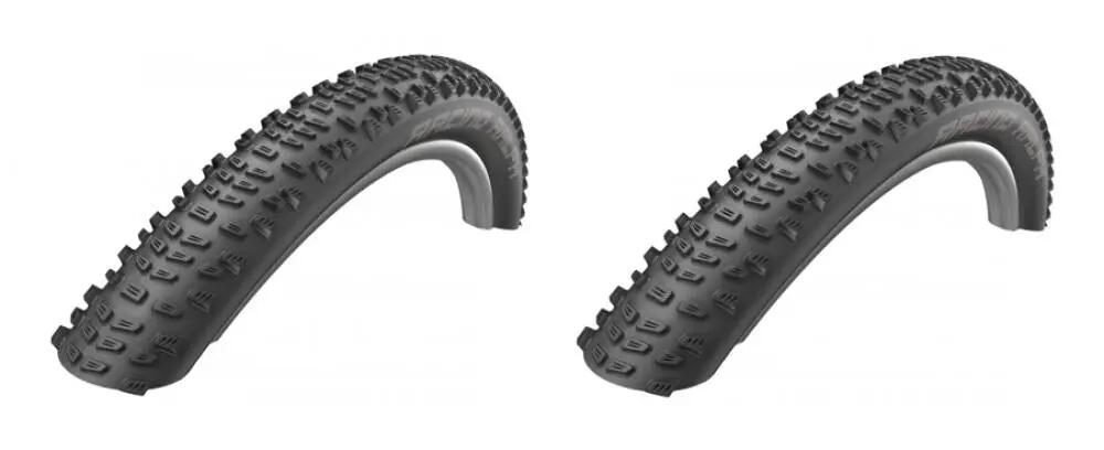 SCHWALBE picture