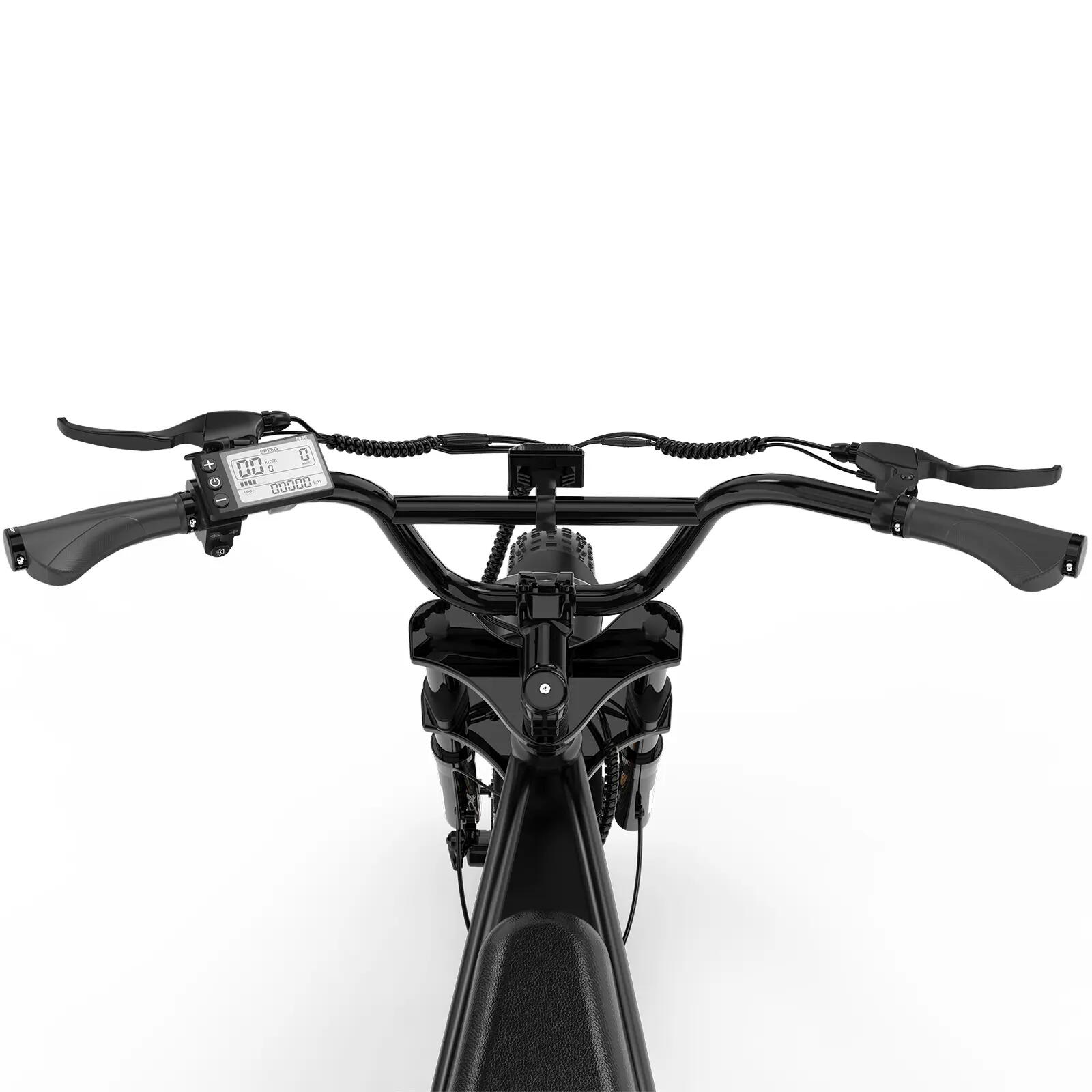 Elektrofahrrad Fatbike E-Bike 20×4.0 All-Terrain BK29G-CW 8/8