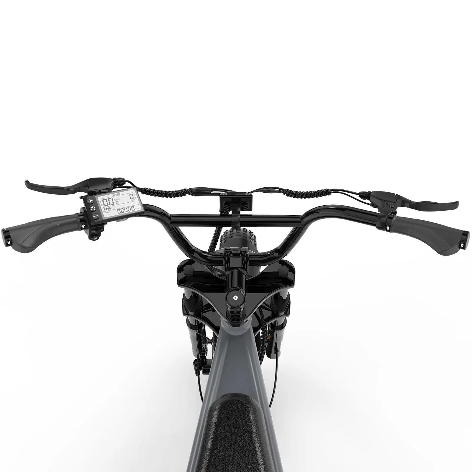 Elektrofahrrad Fatbike E-Bike 20×4.0 All-Terrain BK29G-CW 8/8