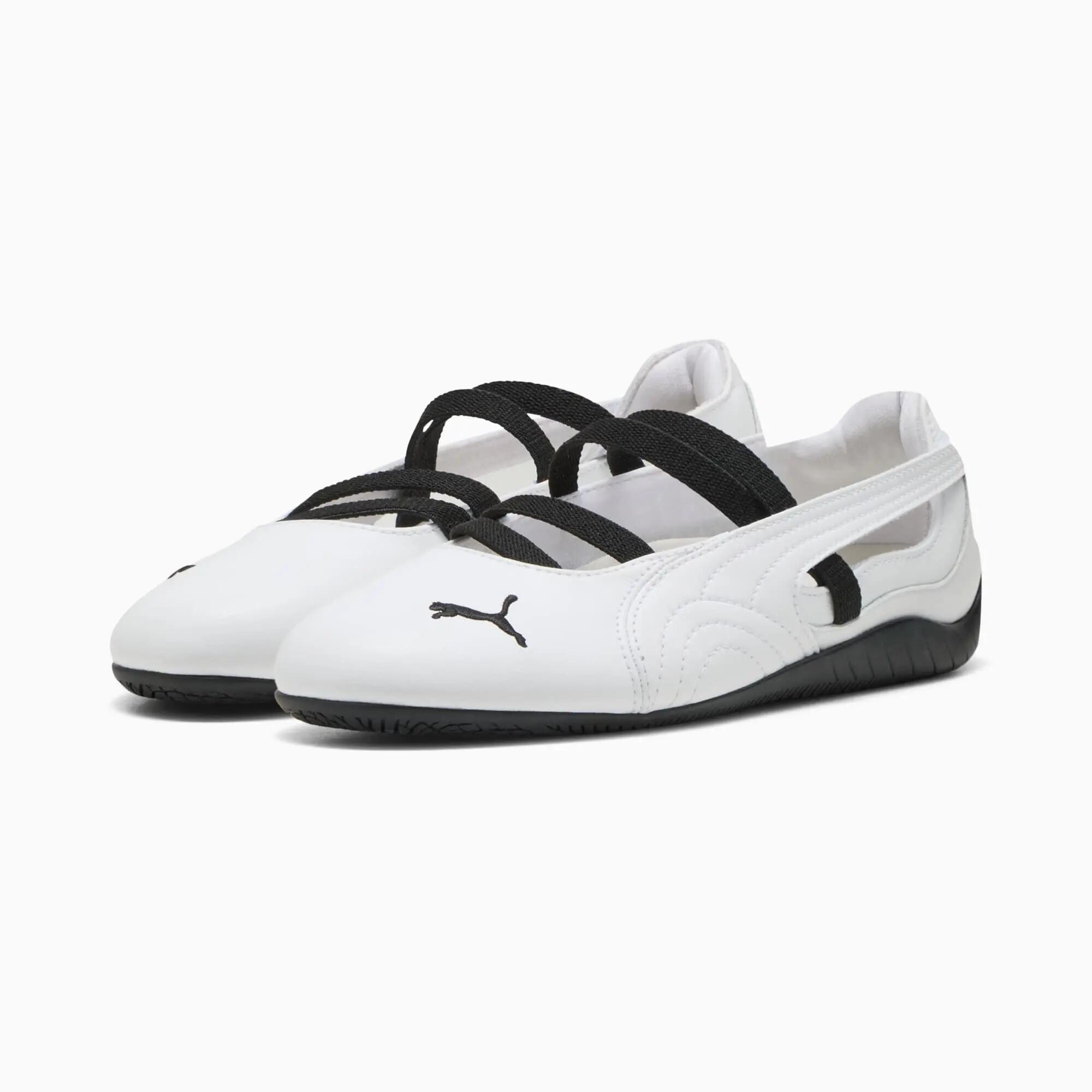 PUMA picture